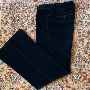 Theory velvet pants in dark blue.